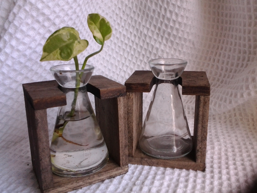 Decorative Glass Vase on Wood Stand Single